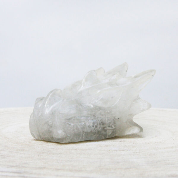 Orgonite drakenschedel met Bergkristal 10 - Afbeelding 4