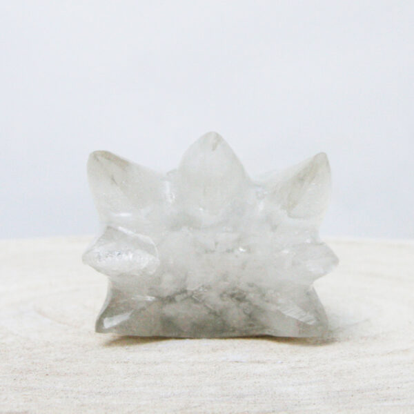 Orgonite drakenschedel met Bergkristal 10 - Afbeelding 6
