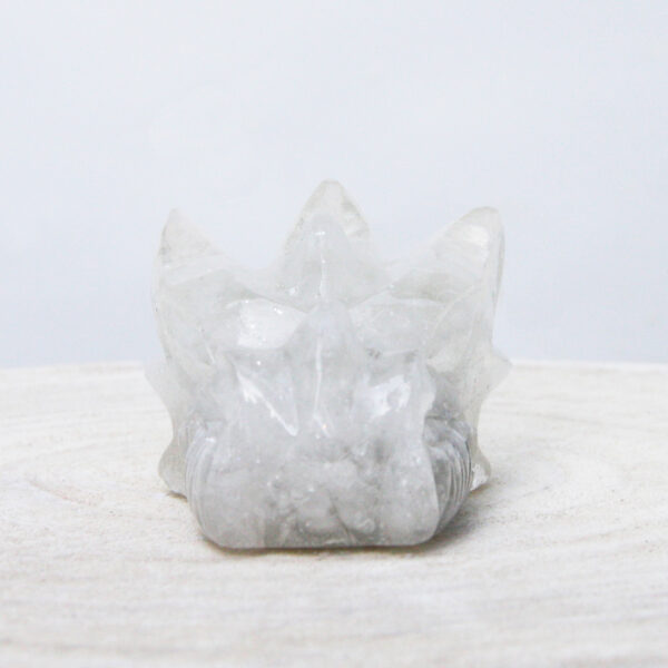 Orgonite drakenschedel met Bergkristal 9 - Afbeelding 3