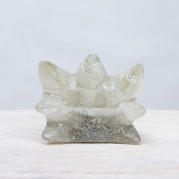Orgonite drakenschedel met Bergkristal 21 - Afbeelding 6