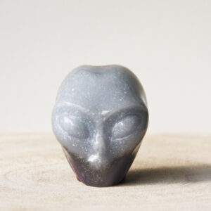 Orgonite Star-Being schedel met Amethist en Seleniet 2