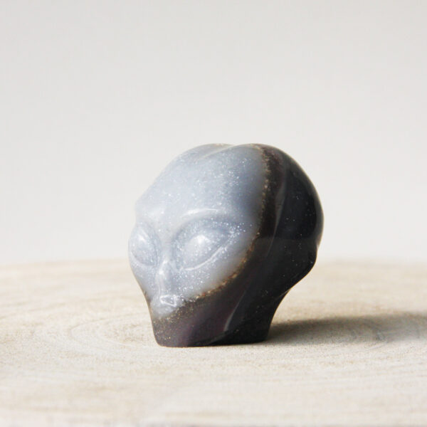 Orgonite Star-Being schedel met Amethist en Seleniet 2 - Afbeelding 2