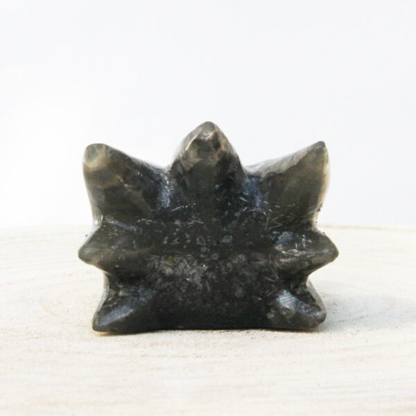 Orgonite drakenschedel met Zwarte Maansteen en Bergkristal 42 - Afbeelding 6