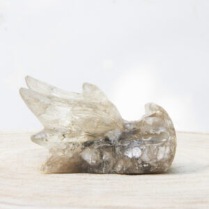 Orgonite drakenschedel met Mika 46