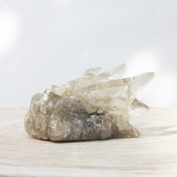 Orgonite drakenschedel met Mika 46 - Afbeelding 4