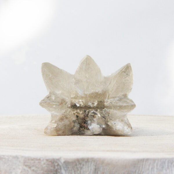 Orgonite drakenschedel met Mika 46 - Afbeelding 5
