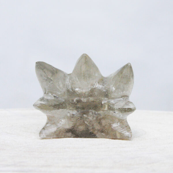 Orgonite drakenschedel met Mika 47 - Afbeelding 6