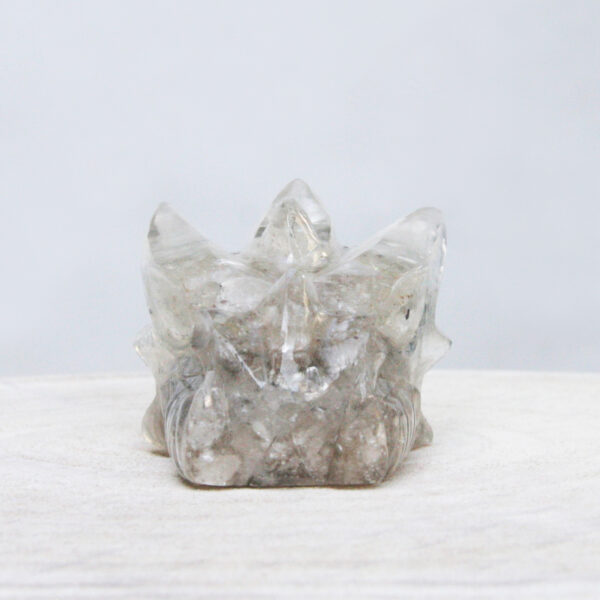 Orgonite drakenschedel met Mika 48 - Afbeelding 4