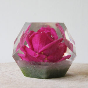 Orgonite rozen