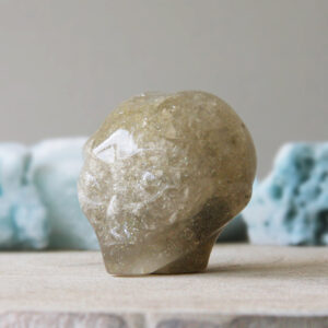 Orgonite Star-Being schedel met Lemon kwarts