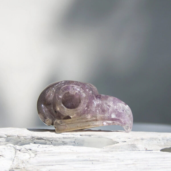 Orgonite uilen schedel met Amethist en Seleniet