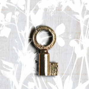 Bronzen sleutel The Ancestors