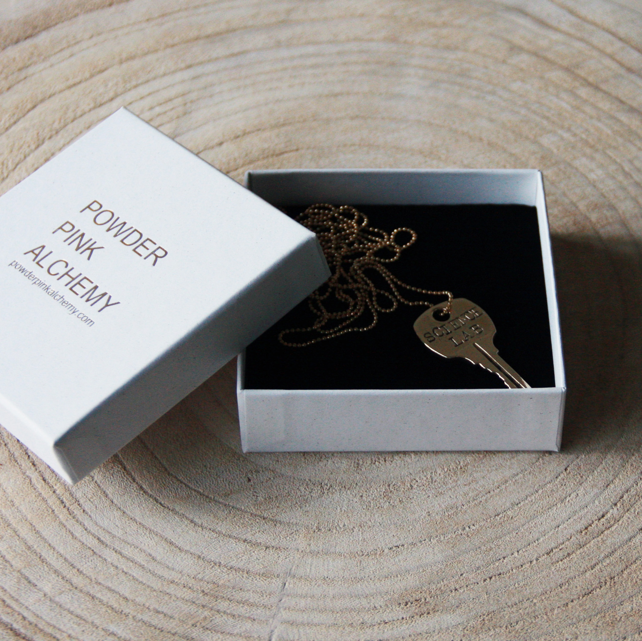 Bronzen sleutel Science Lab - Afbeelding 3